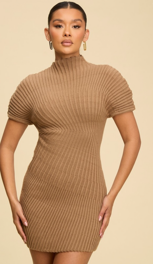 PATTERN KNIT MINI DRESS - MOCHA