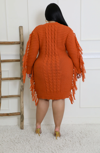 THAT GAL DRESS PLUS - RUST